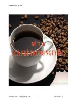 Bài thảo luận: Chiến lược Marketing của Cà phê Trung Nguyên doc