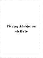 Tác dụng chữa bệnh của cây lấu đỏ docx