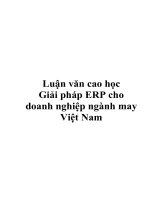 Luận văn cao học Giải pháp ERP cho doanh nghiệp ngành may Việt Nam doc