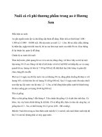 Nuôi cá rô phi thương phẩm trong ao ở Hương Sơn pot