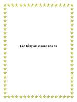 Cân bằng âm dương nhờ đá doc