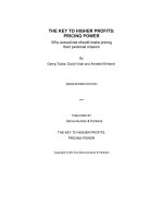THE KEY TO HIGHER PROFITS: PRICING POWER pdf