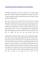 Các phân tử mARN được hoàn thiện theo các cách khác nhau potx