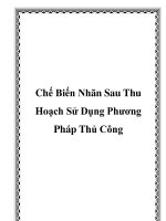 Chế Biến Nhãn Sau Thu Hoạch Sử Dụng Phương Pháp Thủ Công pdf