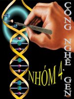 Bài thuyết trình về Gen potx