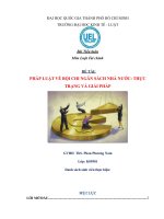 Đề tài: PHÁP LUẬT VỀ BỘI CHI NGÂN SÁCH NHÀ NƯỚC, THỰC TRẠNG VÀ GIẢI PHÁP pot
