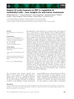 Báo cáo khoa học: Impact of cyclic hypoxia on HIF-1a regulation in endothelial cells – new insights for anti-tumor treatments doc