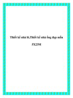 Thiết kế nhà lô,Thiết kế nhà ống đẹp mẫu 5X23M pot