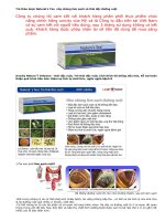 Trà thải độc tố làm sạch đường ruột Natural''''s Tea Mỹ doc