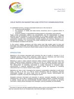 ISSUE PAPER ON MARKETING AND EFFECTIVE COMMUNICATION doc