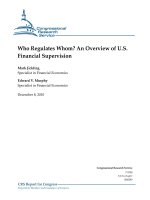Who Regulates Whom? An Overview of U.S. Financial Supervision pdf