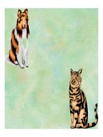 Giun đầu gai pptx