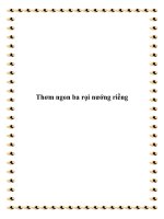 Thơm ngon ba rọi nướng riềng potx