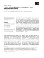 Báo cáo khoa học: Protein-misfolding diseases and chaperone-based therapeutic approaches pdf