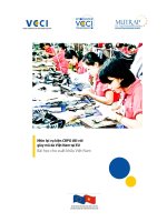 Nhìn lại vụ kiện CBPG đối với giày mũ da Việt Nam tại EU Bài học cho xuất khẩu Việt Nam pdf