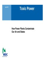 Toxic Powe: How Power Plants Contaminate Our Air and States pot