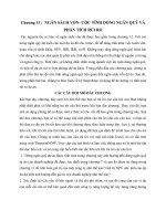 Chương 13 :  NGÂN SÁCH VỐN- ƯỚC TÍNH DÒNG NGÂN QUỸ VÀPHÂN TÍCH RỦI RO