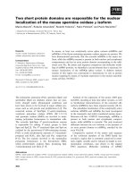 Báo cáo khoa học: Two short protein domains are responsible for the nuclear localization of the mouse spermine oxidase l isoform pdf