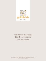 Business Savings Bank Accounts Fees and Charges potx