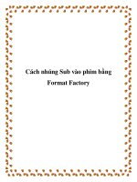Cách nhúng Sub vào phim bằng Format Factory docx