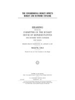 THE CONGRESSIONAL BUDGET OFFICE’S BUDGET AND ECONOMIC OUTLOOK pptx