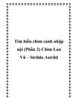 Tìm hiểu chim cảnh nhập nội (Phần 2) Chim Lan Vũ – Strilda Astrild docx