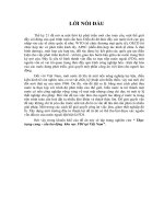 thực trạng cung - cầu lao động  khu vực fdi tại việt nam