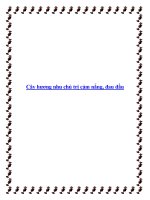 Cây hương nhu chủ trị cảm nắng, đau đầu pot