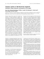 Báo cáo khoa học: Trehalose synthase of Mycobacterium smegmatis Puriﬁcation, cloning, expression, and properties of the enzyme ppt