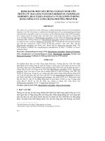 ĐỊNH DANH MỘT SỐ CHỦNG NẤM KÝ SINH CÔN TRÙNG TỪ HAI LOÀI NẤM METARHIZIUM ANISOPLIAE SOROKIN, BEAUVERIA BASSIANA VUILLEMIN Ở ĐỒNG BẰNG SÔNG CỬU LONG BẰNG PHƯƠNG PHÁP PCR docx