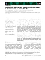 Báo cáo khoa học: Post-ischemic brain damage: the endocannabinoid system in the mechanisms of neuronal death ppt