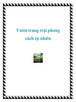 Vườn trang trại phong cách tự nhiên pot