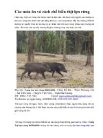 Các món ăn và cách chế biến thịt lợn rừng pptx