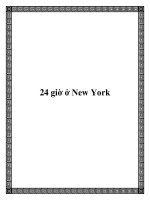 24 giờ ở New York pdf