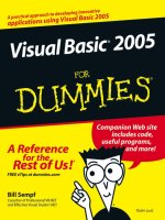 visual basic 2005 for dummies (wiley, 2006)