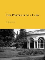 The Portrait of a Lady ppt
