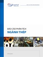 BÁO CÁO PHÂN TÍCH NGÀNH THÉP pptx