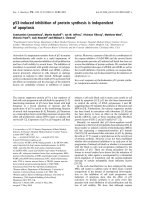 Báo cáo khoa học: p53-induced inhibition of protein synthesis is independent of apoptosis pdf