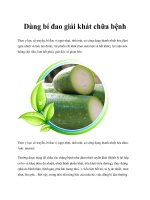 Dùng bí đao giải khát chữa bệnh potx