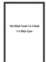 Mô Hình Nuôi Cá Chình Có Hiệu Quả doc
