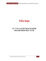 Tiểu luận:Tư vấn lập kế hoạch kinh doanh shop hoa tươi pot