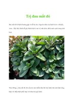 Trị đau mắt đỏ ppt