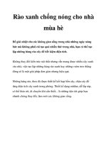 Rào xanh chống nóng cho nhà mùa hè pdf