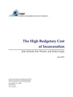 The High Budgetary Cost of Incarceration pdf
