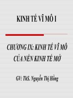 KINH TẾ VĨ MÔ CỦA NỀN KINH TẾ MỞ docx