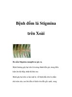 Bệnh đốm lá Stigmina trên Xoài docx