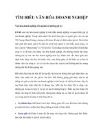 TÌM HIỂU VĂN HÓA DOANH NGHIỆP docx