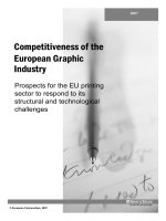 PROSPECTS FOR THE EU PRINTING SECTOR TO RESPOND TO ITS STRUCTURAL AND TECHNOLOGICA, CHALLENGES pptx