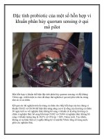 Đặc tính probiotic của một số hỗn hợp vi khuẩn phân hủy quorum sensing ở qui mô pilot pot