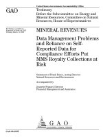Data Management Problems and Reliance on Self-Reported Data for Compliance Efforts Put MMS Royalty Collections at Risk doc